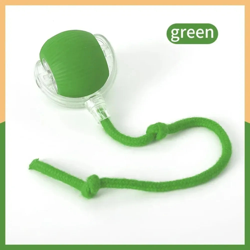 🐾 ZoomTail™ – The Smart Rolling Toy Pets Go Wild For!