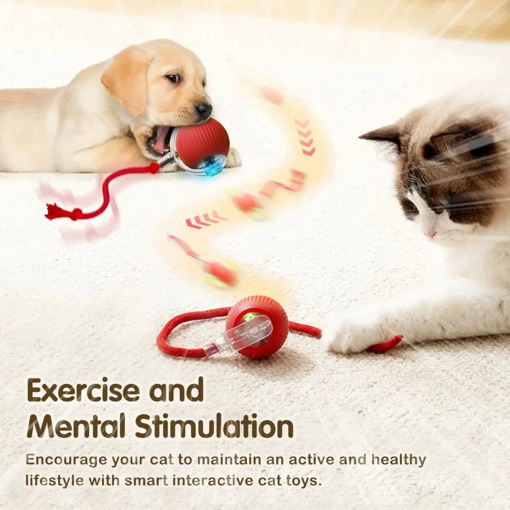🐾 ZoomTail™ – The Smart Rolling Toy Pets Go Wild For!