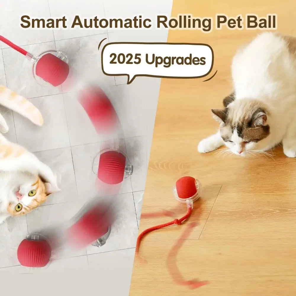 🐾 ZoomTail™ – The Smart Rolling Toy Pets Go Wild For!