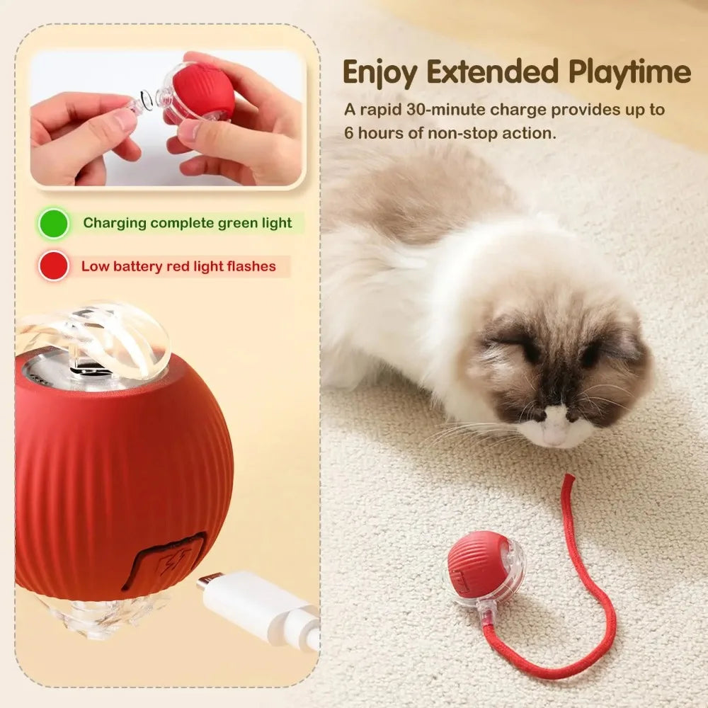 🐾 ZoomTail™ – The Smart Rolling Toy Pets Go Wild For!