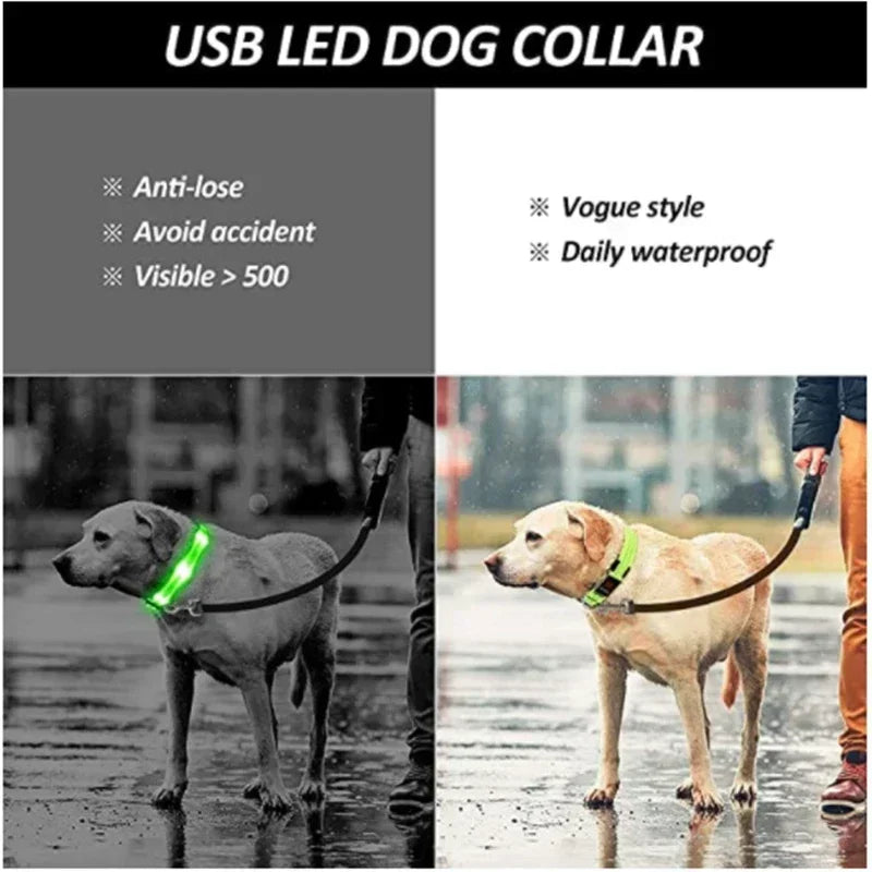 🔦 GlowGuard™ LED Safety Collar