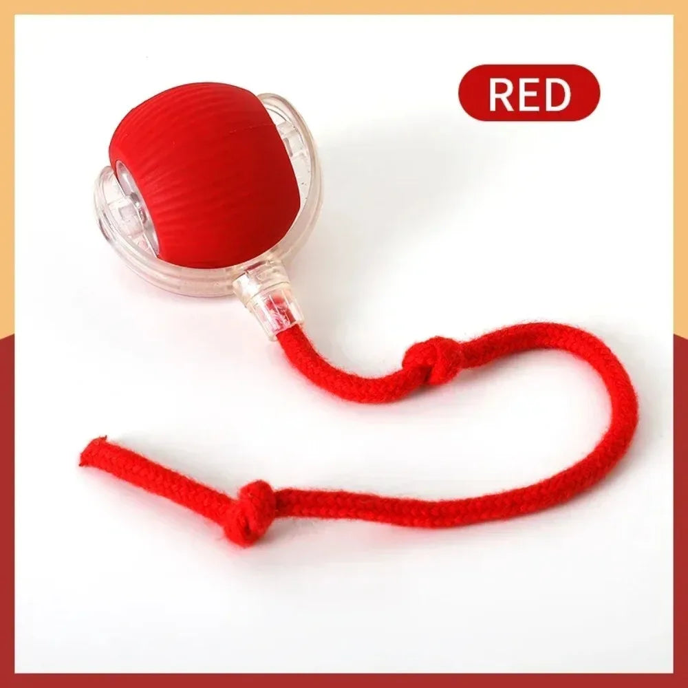 🐾 ZoomTail™ – The Smart Rolling Toy Pets Go Wild For!
