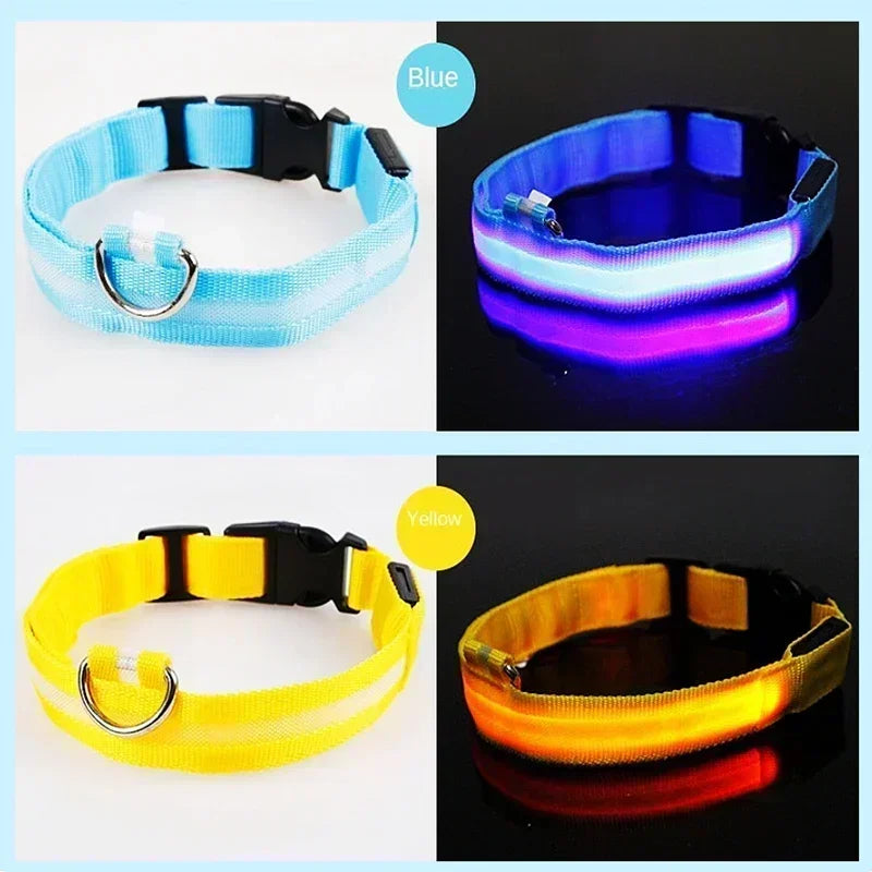 🔦 GlowGuard™ LED Safety Collar