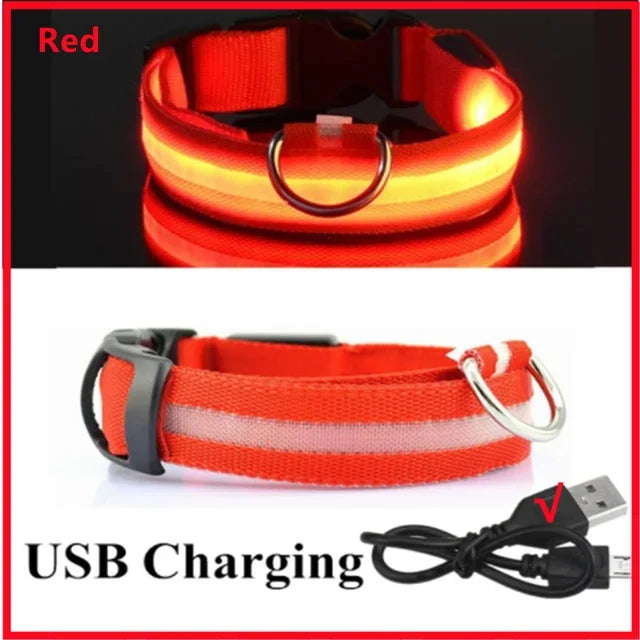 🔦 GlowGuard™ LED Safety Collar