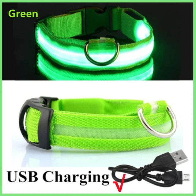 🔦 GlowGuard™ LED Safety Collar