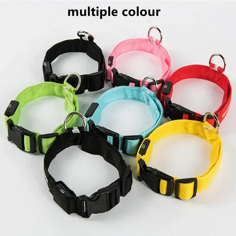 🔦 GlowGuard™ LED Safety Collar