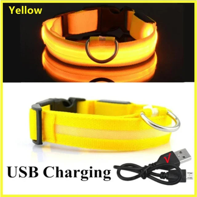 🔦 GlowGuard™ LED Safety Collar