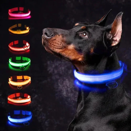 🔦 GlowGuard™ LED Safety Collar