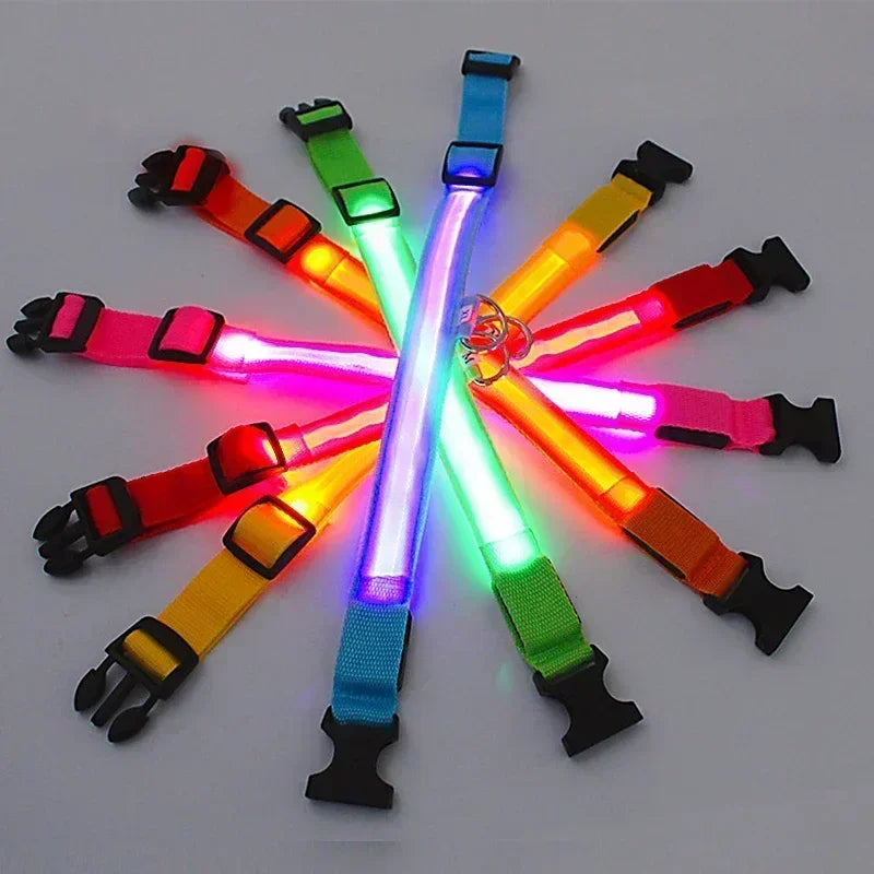 🔦 GlowGuard™ LED Safety Collar