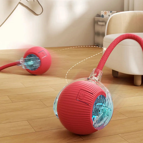 🐾 ZoomTail™ – The Smart Rolling Toy Pets Go Wild For!