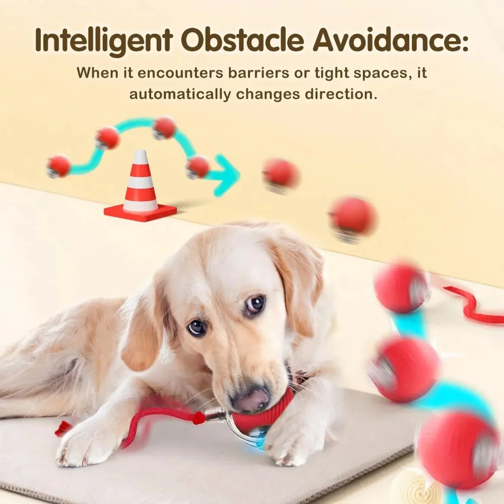 🐾 ZoomTail™ – The Smart Rolling Toy Pets Go Wild For!