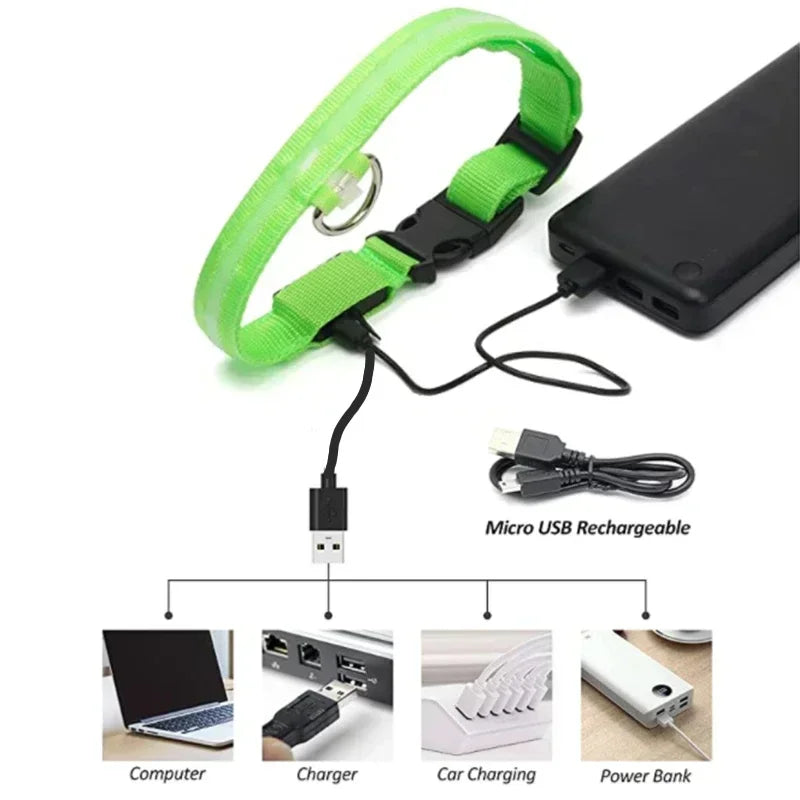 🔦 GlowGuard™ LED Safety Collar