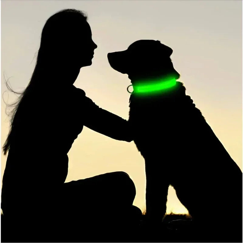 🔦 GlowGuard™ LED Safety Collar