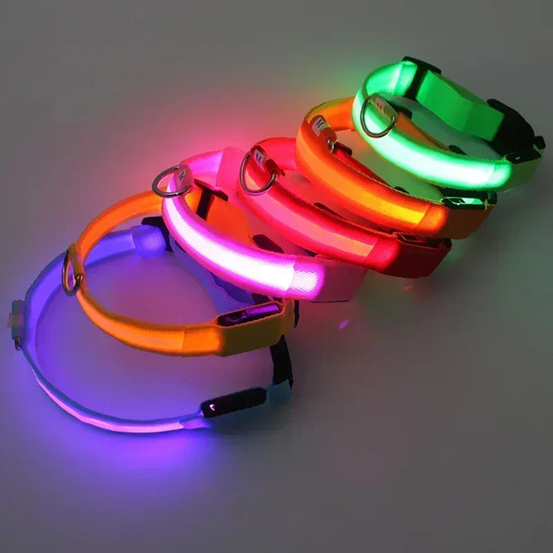 🔦 GlowGuard™ LED Safety Collar