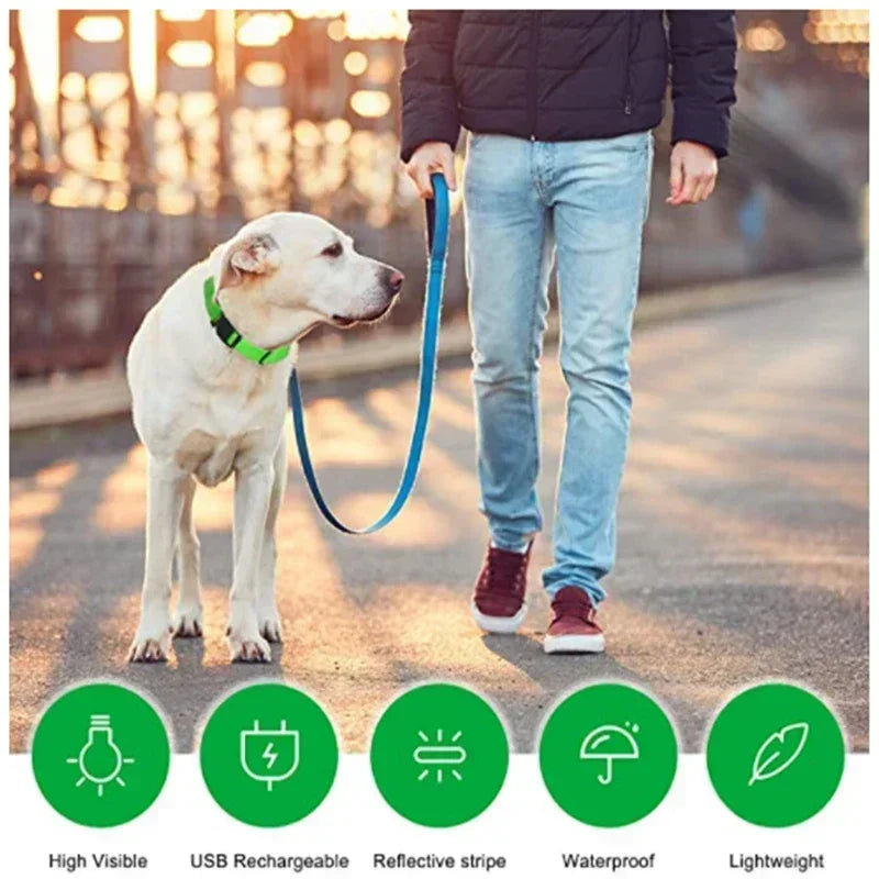 🔦 GlowGuard™ LED Safety Collar