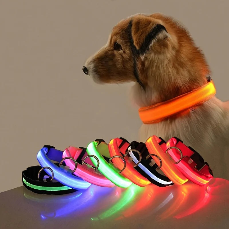 🔦 GlowGuard™ LED Safety Collar