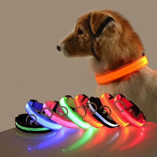 🔦 GlowGuard™ LED Safety Collar