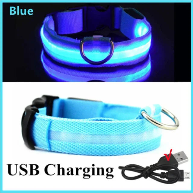 🔦 GlowGuard™ LED Safety Collar