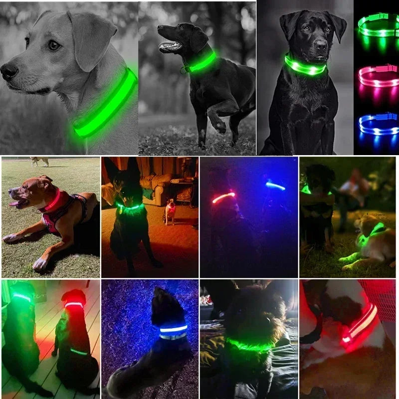 🔦 GlowGuard™ LED Safety Collar