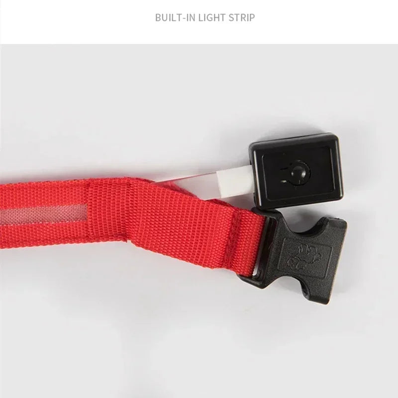 🔦 GlowGuard™ LED Safety Collar