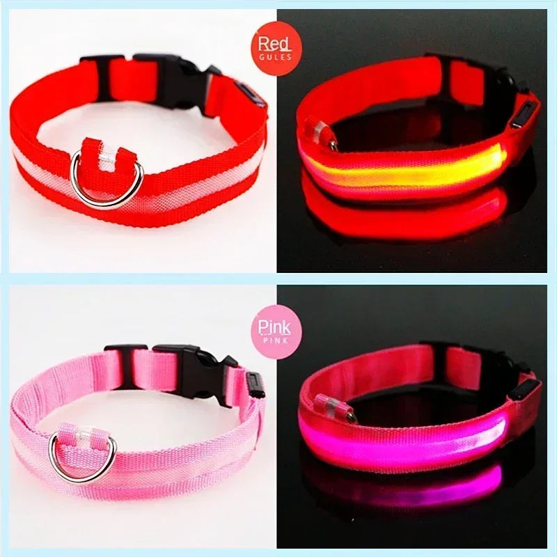 🔦 GlowGuard™ LED Safety Collar