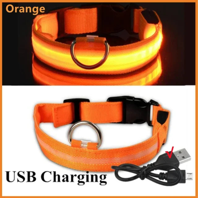 🔦 GlowGuard™ LED Safety Collar