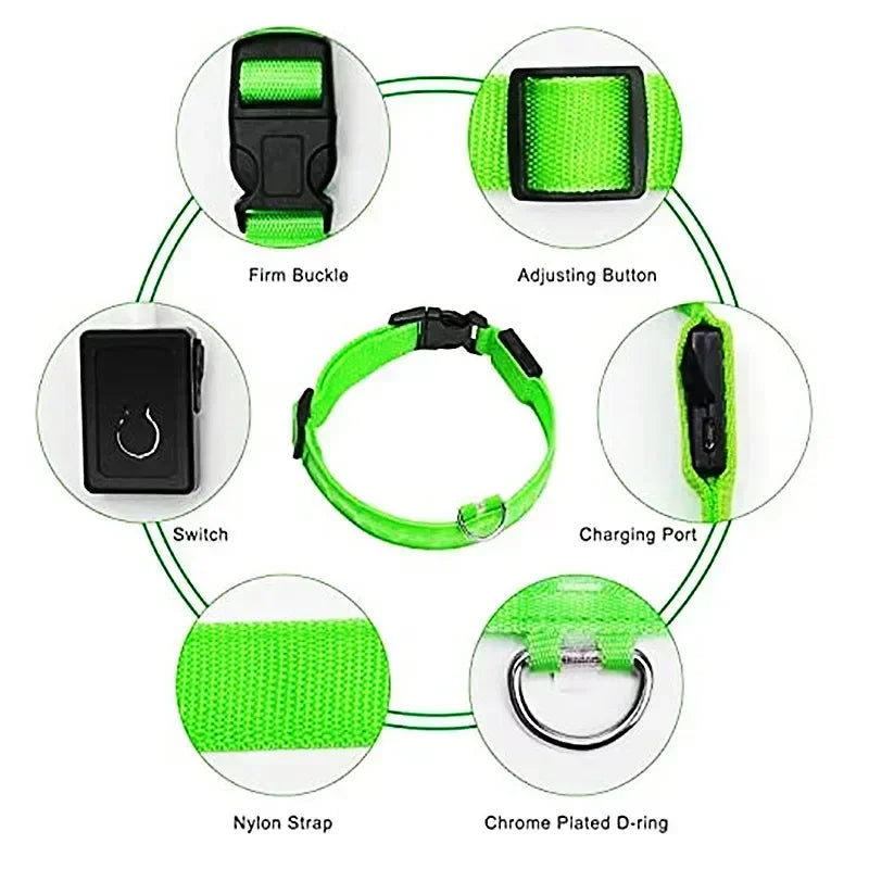 🔦 GlowGuard™ LED Safety Collar