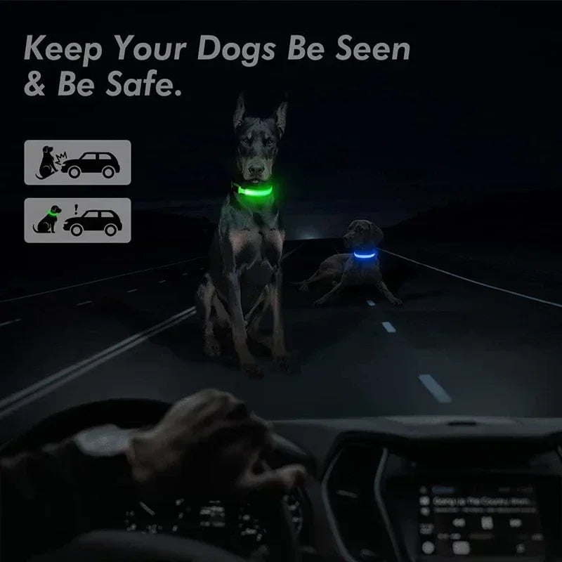 🔦 GlowGuard™ LED Safety Collar