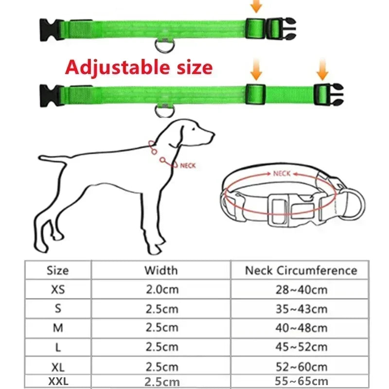 🔦 GlowGuard™ LED Safety Collar