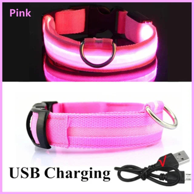 🔦 GlowGuard™ LED Safety Collar