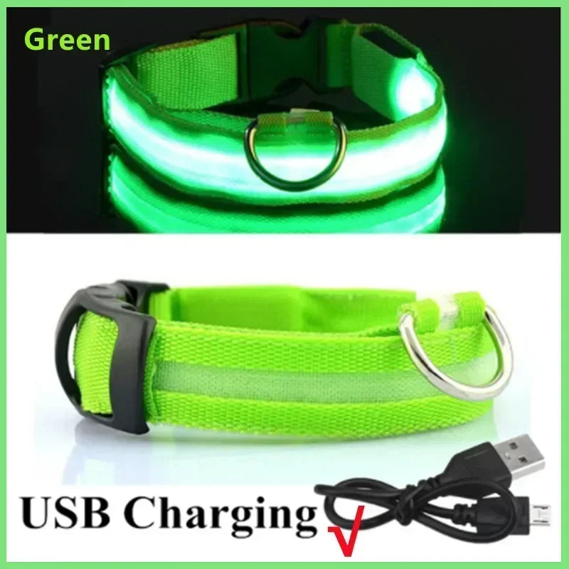 🔦 GlowGuard™ LED Safety Collar