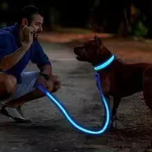 🔦 GlowGuard™ LED Safety Collar