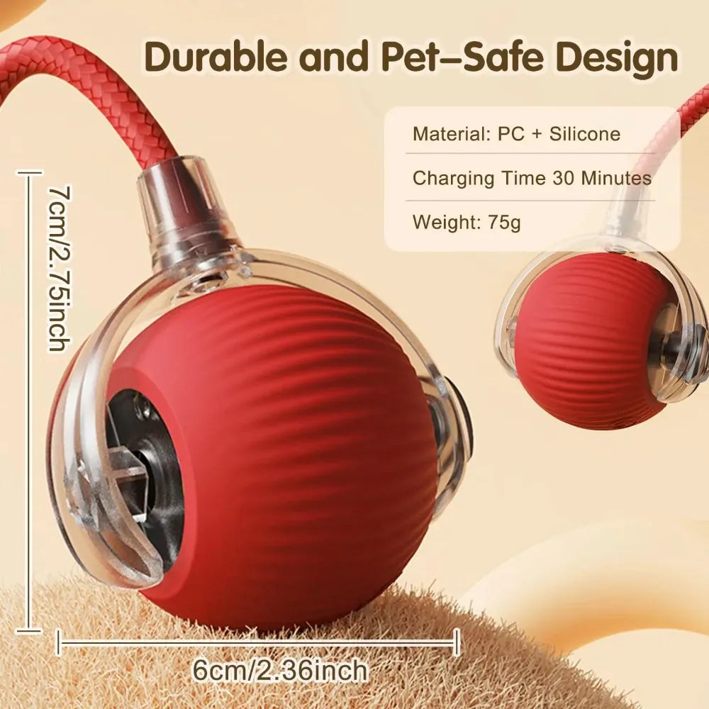 🐾 ZoomTail™ – The Smart Rolling Toy Pets Go Wild For!