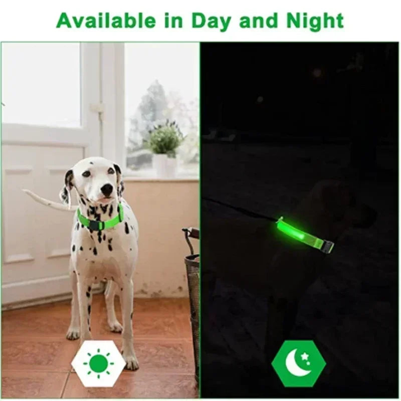 🔦 GlowGuard™ LED Safety Collar
