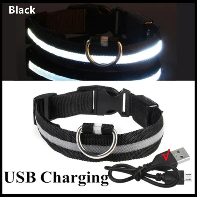 🔦 GlowGuard™ LED Safety Collar