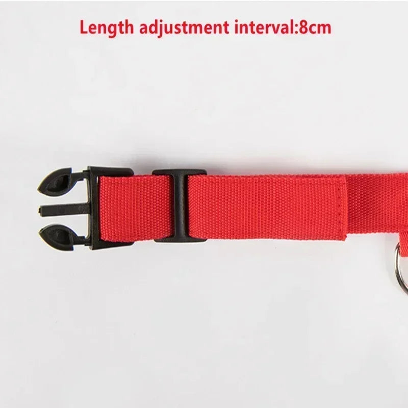 🔦 GlowGuard™ LED Safety Collar