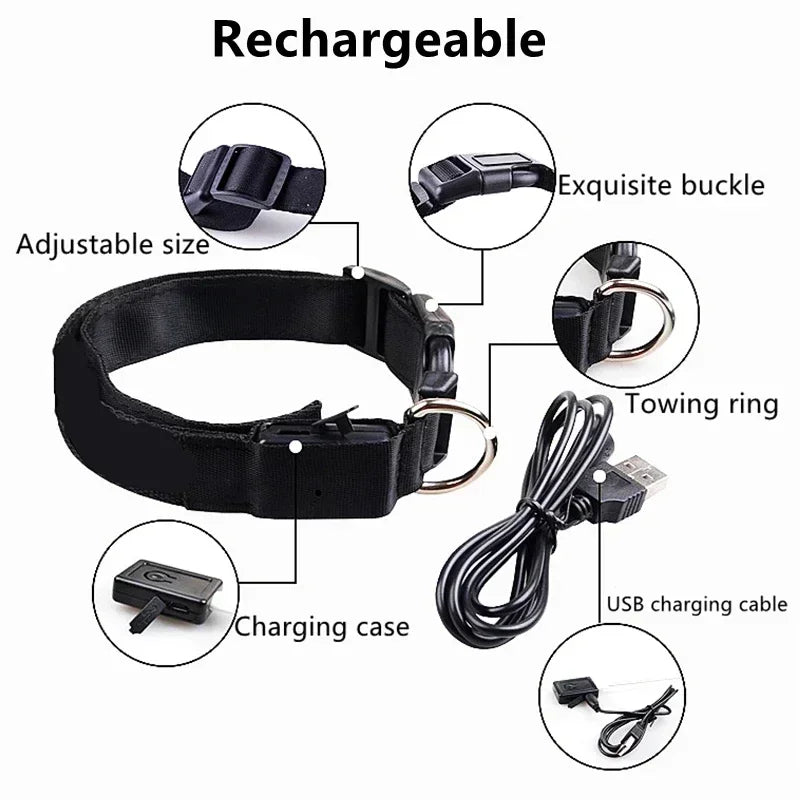 🔦 GlowGuard™ LED Safety Collar
